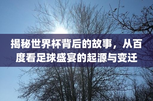 揭秘世界杯背后的故事，从百度看足球盛宴的起源与变迁