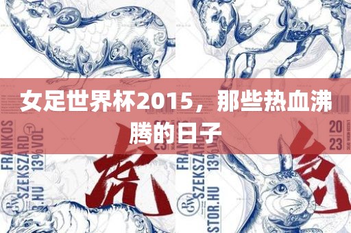 女足世界杯2015，那些热血沸腾的日子