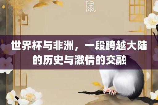 世界杯与非洲，一段跨越大陆的历史与激情的交融