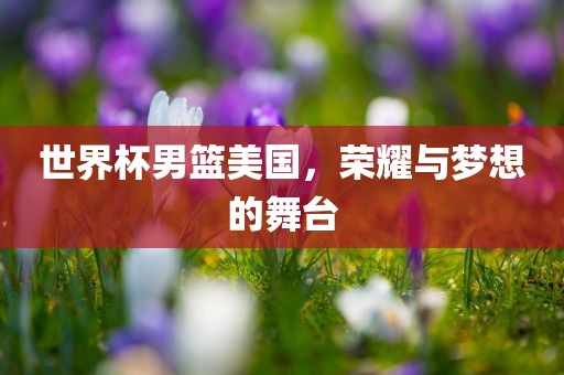 世界杯男篮美国，荣耀与梦想的舞台