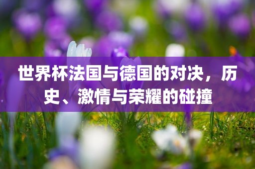 世界杯法国与德国的对决，历史、激情与荣耀的碰撞
