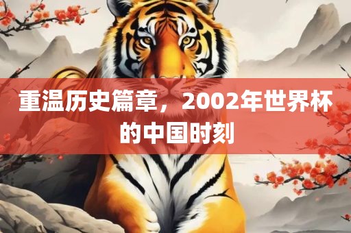 重温历史篇章，2002年世界杯的中国时刻