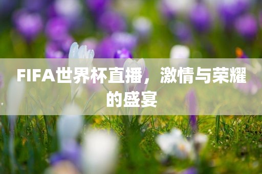 FIFA世界杯直播，激情与荣耀的盛宴