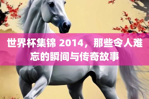 世界杯集锦 2014，那些令人难忘的瞬间与传奇故事