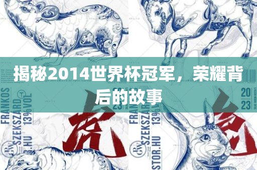 揭秘2014世界杯冠军，荣耀背后的故事