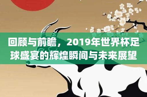 回顾与前瞻，2019年世界杯足球盛宴的辉煌瞬间与未来展望