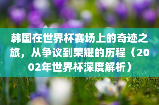 韩国在世界杯赛场上的奇迹之旅，从争议到荣耀的历程（2002年世界杯深度解析）