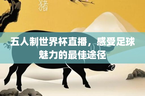 五人制世界杯直播，感受足球魅力的最佳途径