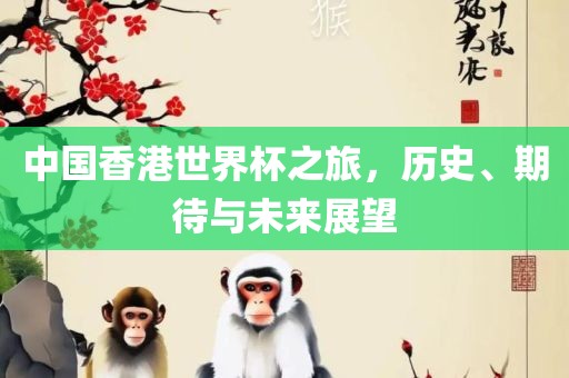 中国香港世界杯之旅，历史、期待与未来展望