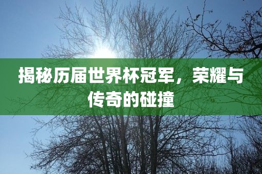 揭秘历届世界杯冠军，荣耀与传奇的碰撞