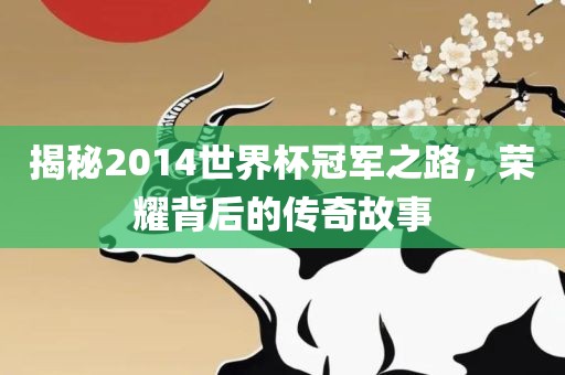 揭秘2014世界杯冠军之路，荣耀背后的传奇故事