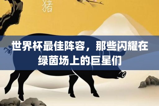 世界杯最佳阵容，那些闪耀在绿茵场上的巨星们