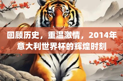 回顾历史，重温激情，2014年意大利世界杯的辉煌时刻