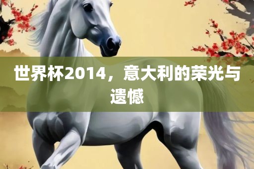 世界杯2014，意大利的荣光与遗憾