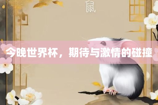 今晚世界杯，期待与激情的碰撞