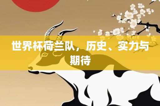 世界杯荷兰队，历史、实力与期待