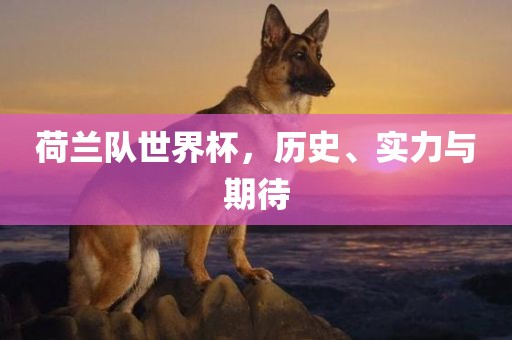 荷兰队世界杯，历史、实力与期待