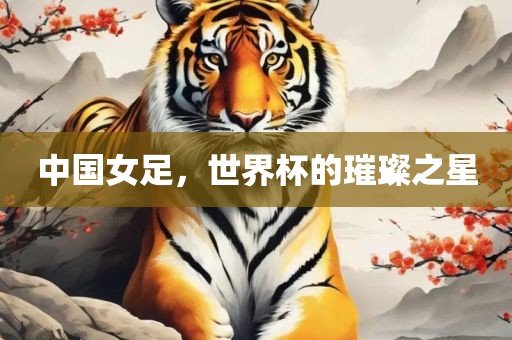中国女足，世界杯的璀璨之星