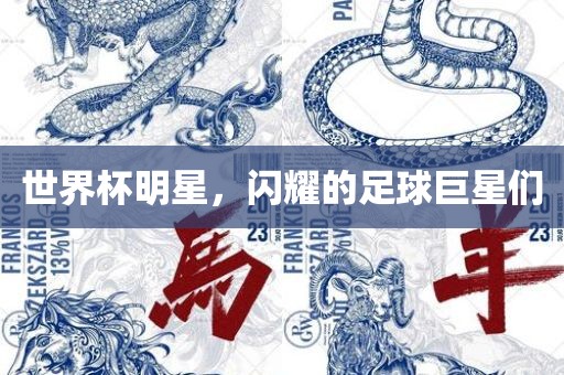 世界杯明星，闪耀的足球巨星们
