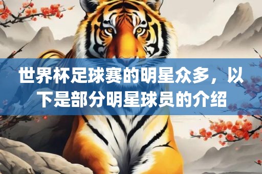 世界杯足球赛的明星众多，以下是部分明星球员的介绍