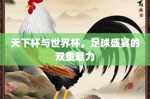 天下杯与世界杯，足球盛宴的双重魅力
