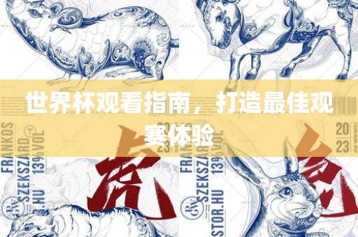 世界杯观看指南，打造最佳观赛体验