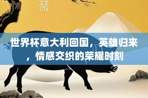世界杯意大利回国，英雄归来，情感交织的荣耀时刻