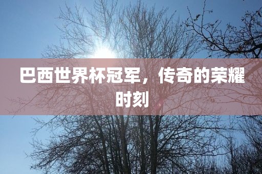 巴西世界杯冠军，传奇的荣耀时刻