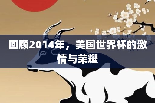 回顾2014年，美国世界杯的激情与荣耀