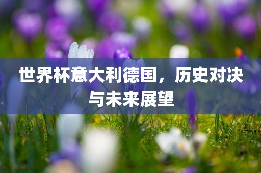 世界杯意大利德国，历史对决与未来展望