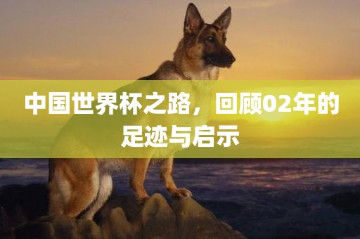 中国世界杯之路，回顾02年的足迹与启示