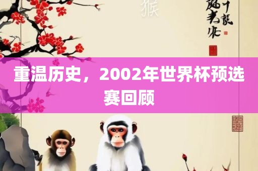 重温历史，2002年世界杯预选赛回顾