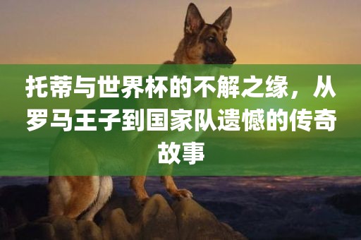 托蒂与世界杯的不解之缘，从罗马王子到国家队遗憾的传奇故事