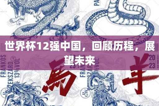世界杯12强中国，回顾历程，展望未来