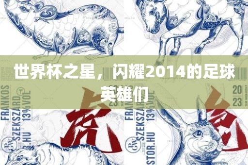 世界杯之星，闪耀2014的足球英雄们