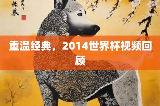 重温经典，2014世界杯视频回顾
