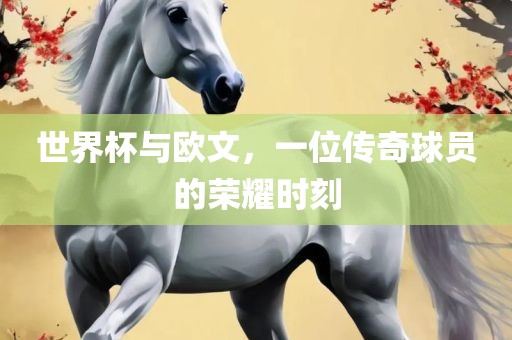 世界杯与欧文，一位传奇球员的荣耀时刻