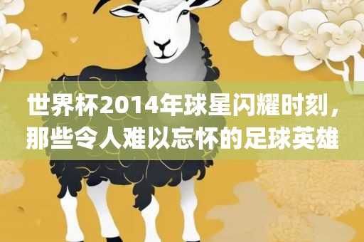 世界杯2014年球星闪耀时刻，那些令人难以忘怀的足球英雄