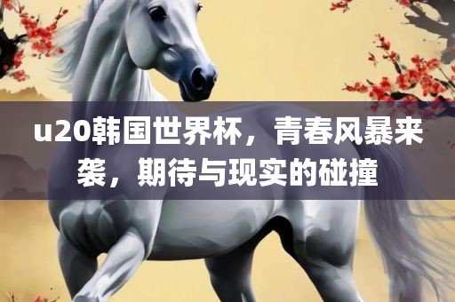u20韩国世界杯，青春风暴来袭，期待与现实的碰撞