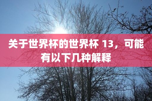 关于世界杯的世界杯 13，可能有以下几种解释