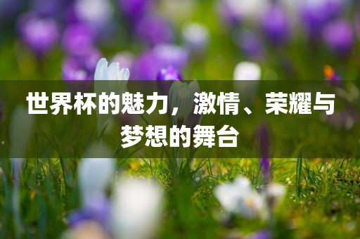 世界杯的魅力，激情、荣耀与梦想的舞台