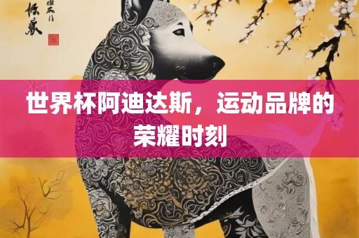 世界杯阿迪达斯，运动品牌的荣耀时刻