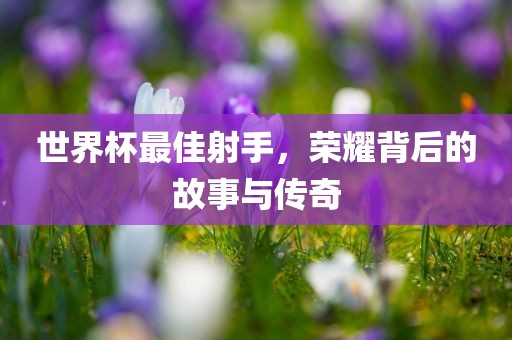 世界杯最佳射手，荣耀背后的故事与传奇