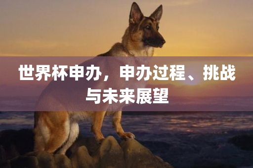世界杯申办，申办过程、挑战与未来展望