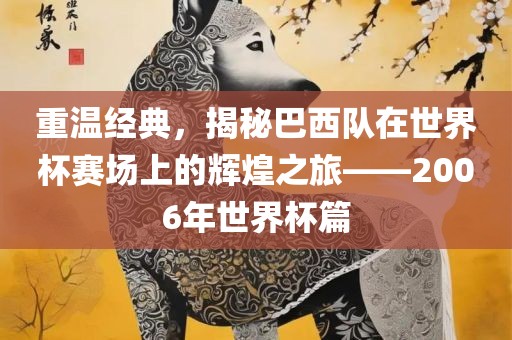 重温经典，揭秘巴西队在世界杯赛场上的辉煌之旅——2006年世界杯篇