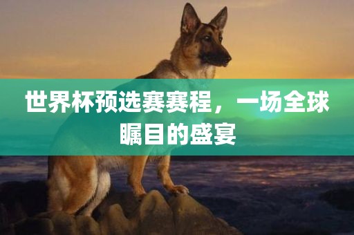 世界杯预选赛赛程，一场全球瞩目的盛宴