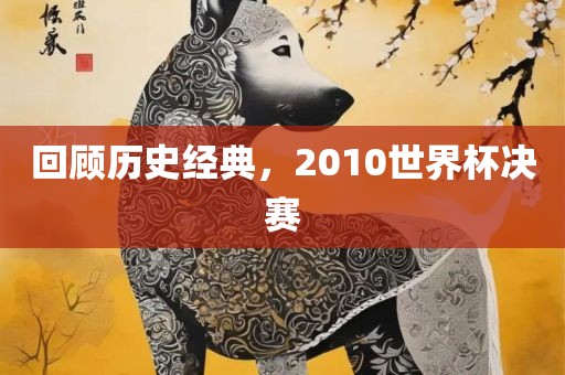 回顾历史经典，2010世界杯决赛