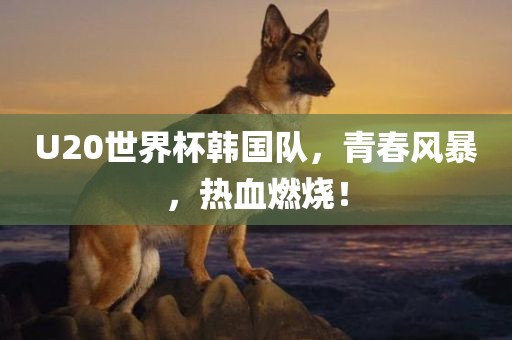 U20世界杯韩国队，青春风暴，热血燃烧！