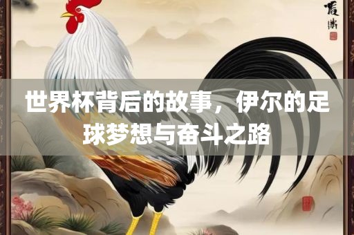 世界杯背后的故事，伊尔的足球梦想与奋斗之路