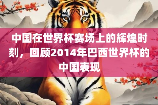 中国在世界杯赛场上的辉煌时刻，回顾2014年巴西世界杯的中国表现